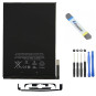 Apple iPad mini 1 Akku (A1432, A1454, A1455) - Set